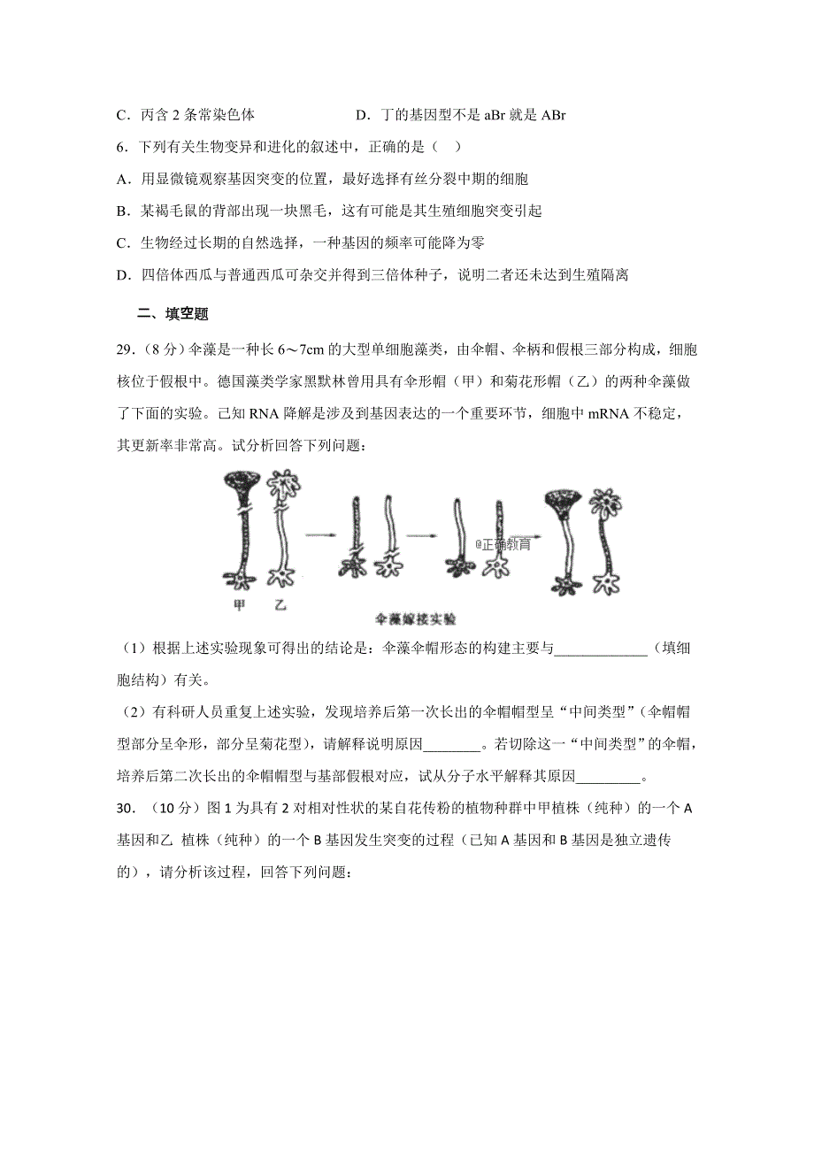 四川省眉山一中办学共同体2019届高三9月月考生物试卷 WORD版含答案.doc_第2页