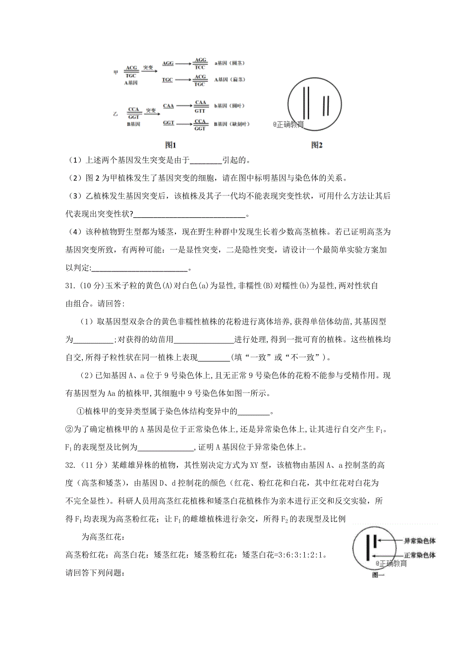 四川省眉山一中办学共同体2019届高三9月月考生物试卷 WORD版含答案.doc_第3页