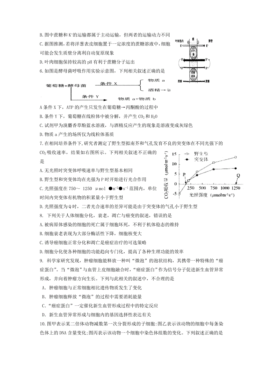 山东省枣庄市2022届高三生物上学期9月月考试题.doc_第2页