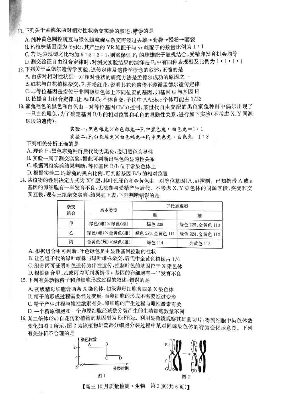 河南省部分名校2022届高三上学期10月质量检测生物试题 扫描版含答案.pdf_第3页