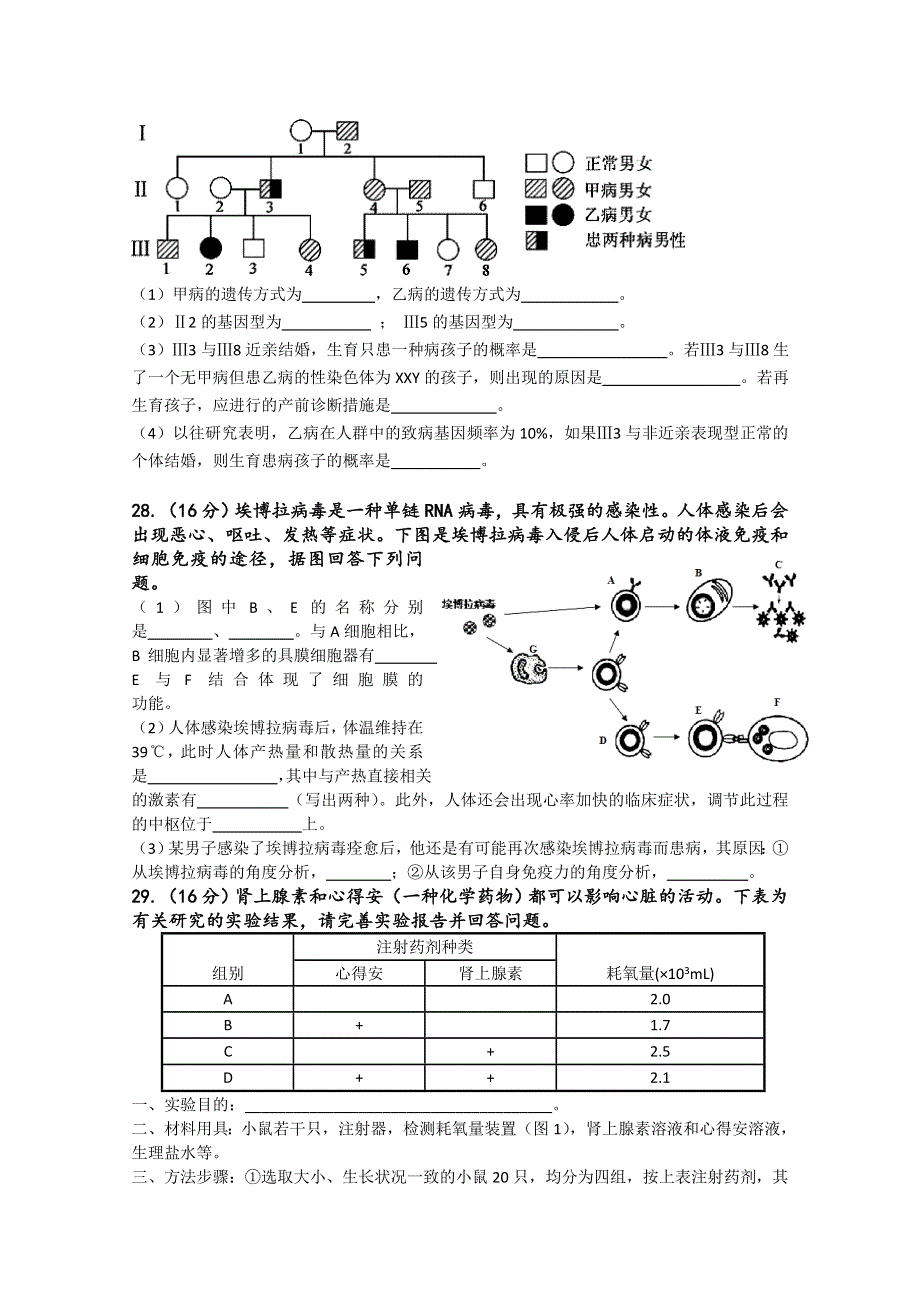 广东省华南师大附中2015届高三综合测试（三）理综生物试题 WORD版含答案.doc_第3页