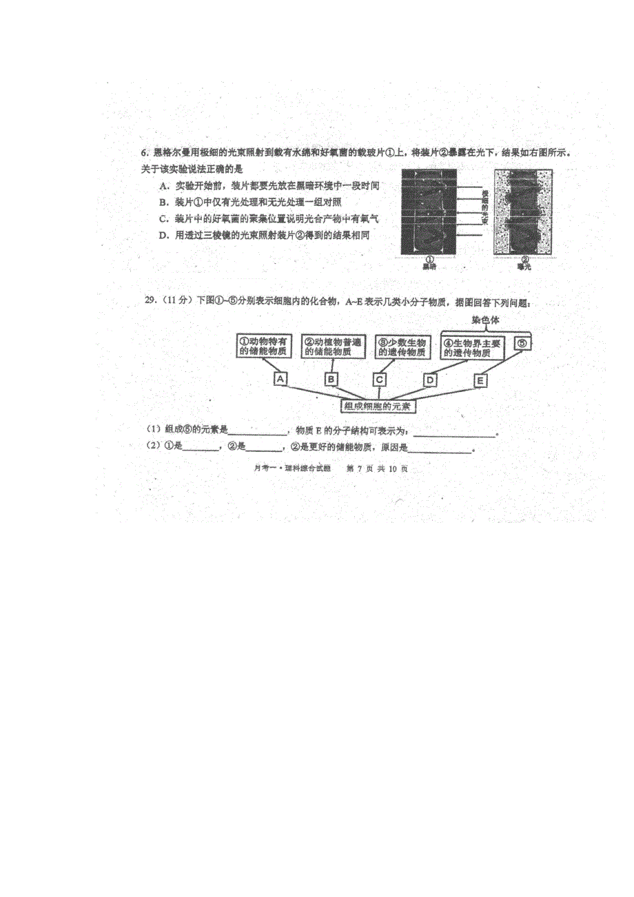 广东省华南师大附中2017届高三综合测试（一）（即月考）理综生物试卷 扫描版含答案.doc_第2页