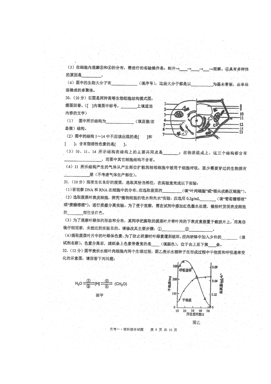 广东省华南师大附中2017届高三综合测试（一）（即月考）理综生物试卷 扫描版含答案.doc_第3页