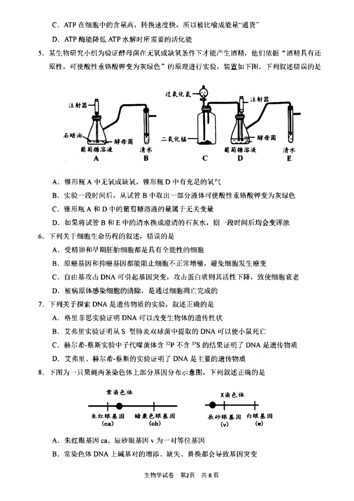 重庆市2021届高三下学期4月第二次学业质量调研抽测生物试题 PDF版含答案.pdf_第2页