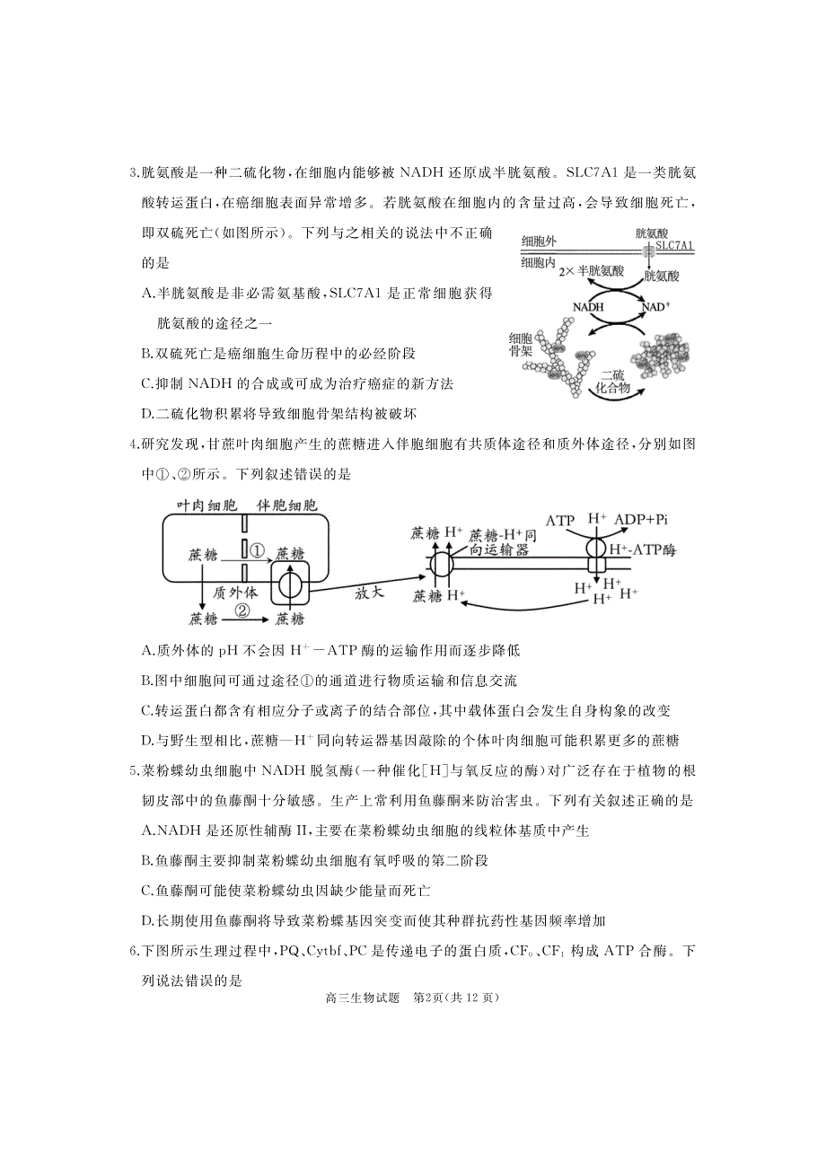 山东省枣庄市滕州2023-2024高三生物上学期期中考试试题(pdf).pdf_第2页