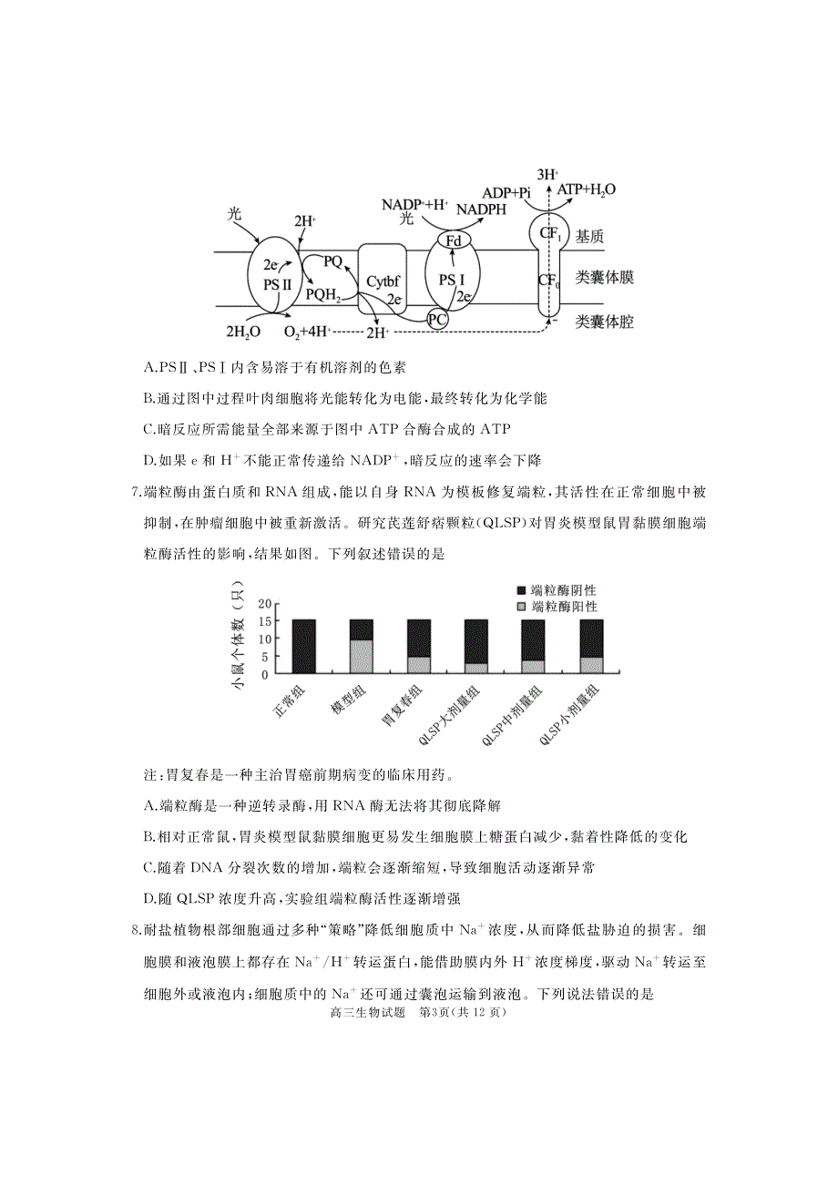 山东省枣庄市滕州2023-2024高三生物上学期期中考试试题(pdf).pdf_第3页