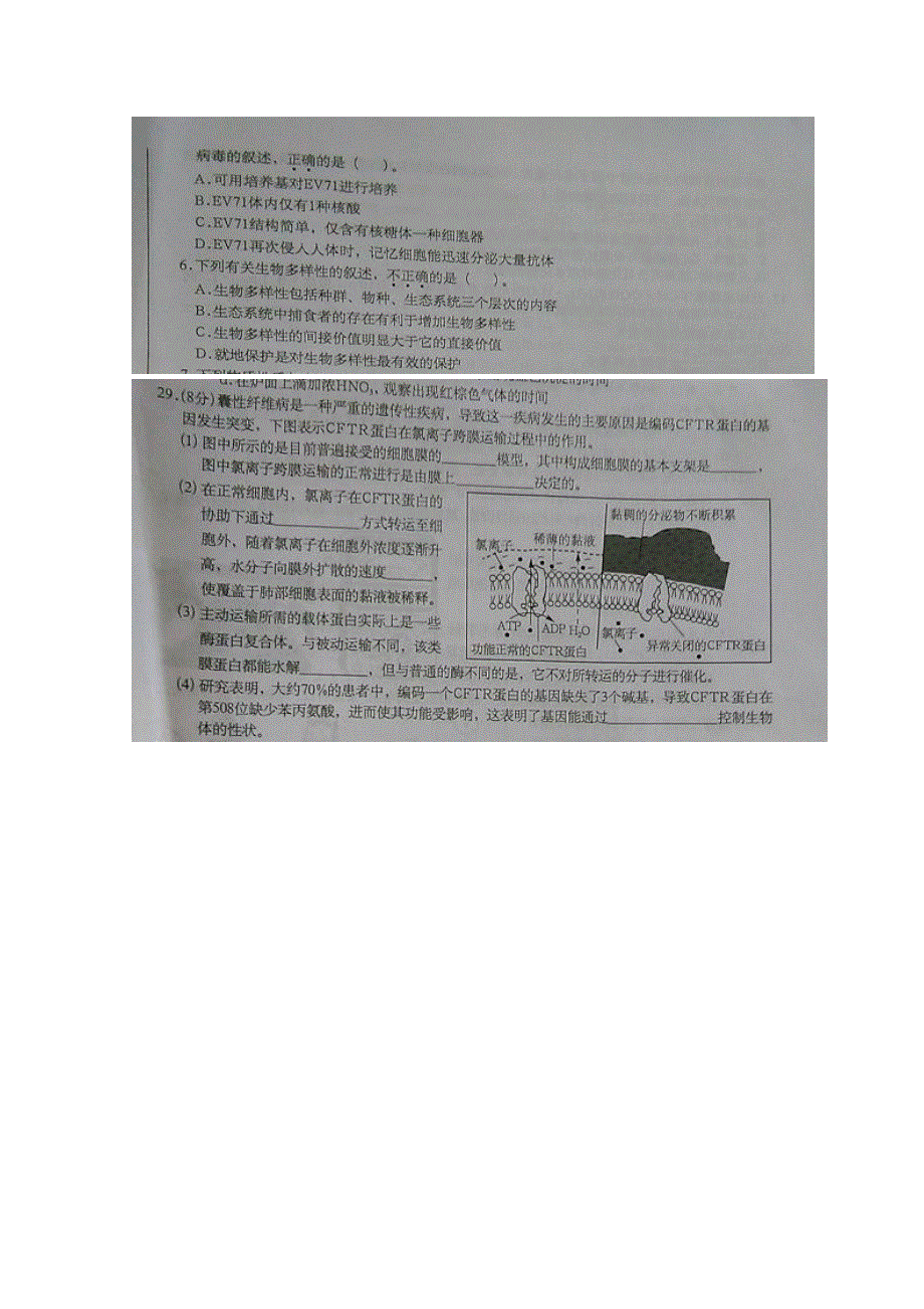 广西名校2017届高三上学期第一次摸底考试理科综合生物试题 扫描版含解析.doc_第2页