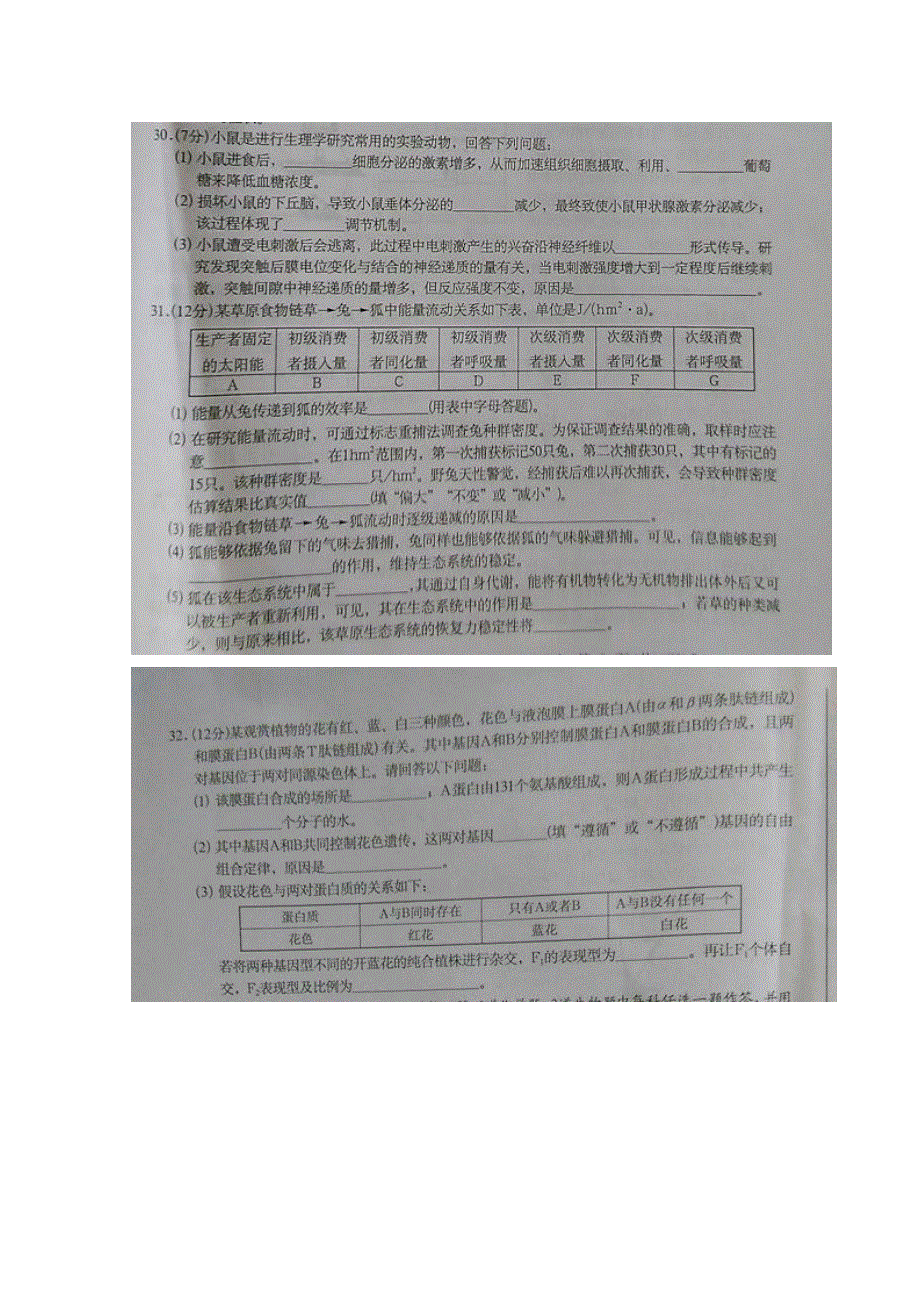 广西名校2017届高三上学期第一次摸底考试理科综合生物试题 扫描版含解析.doc_第3页