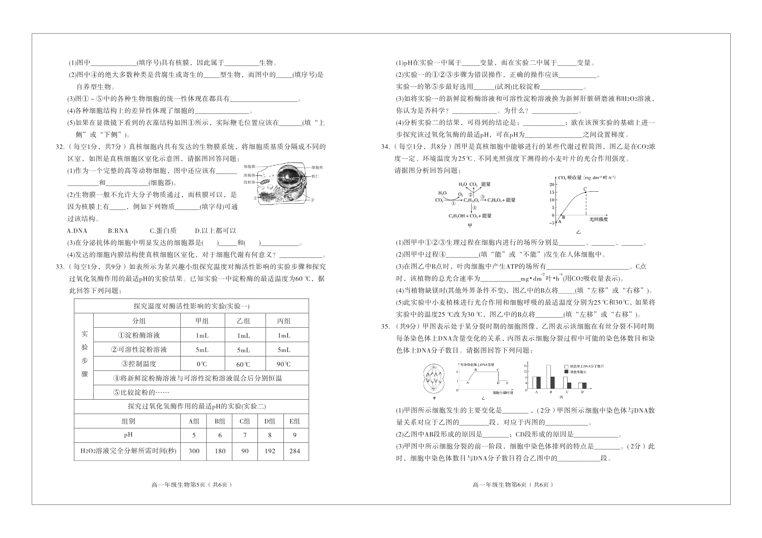 陕西省西安市西安中学2019-2020学年高一上学期期末考试生物试卷 PDF版含答案.pdf_第3页