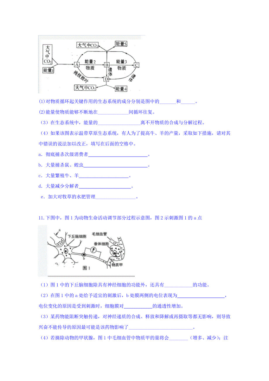 四川省泸州市泸县第二中学2019-2020学年高二上学期期末模拟考试生物试题 WORD版含答案.doc_第3页