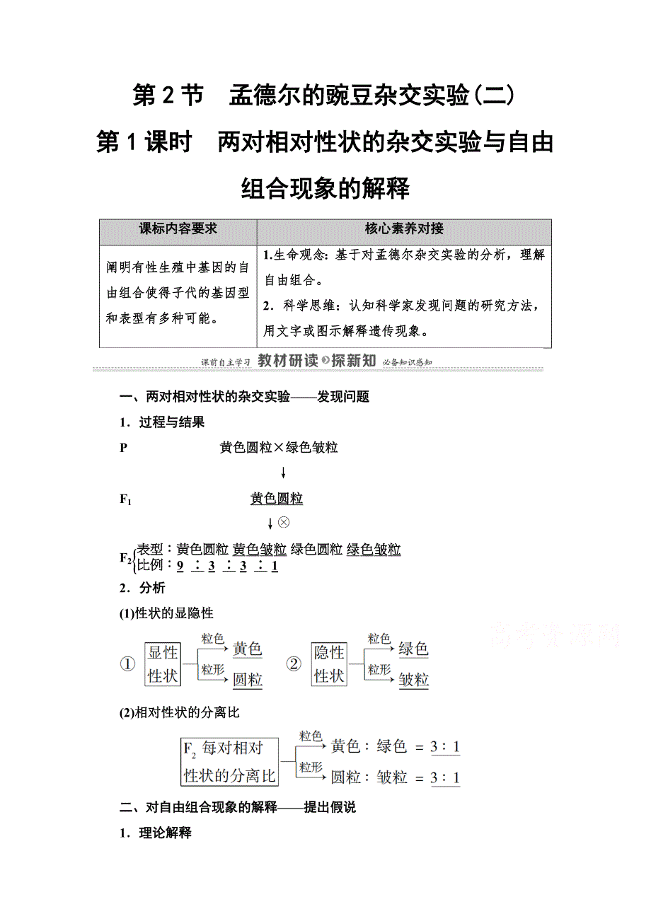 2020-2021学年新教材人教版生物必修2教师用书：第1章 第2节 第1课时　两对相对性状的杂交实验与自由组合现象的解释 WORD版含解析.doc_第1页