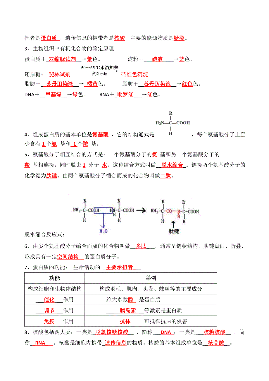 人教版（2019）高中生物必修一期末复习 分子与相比知识点填空清单 WORD版含答案.doc_第2页