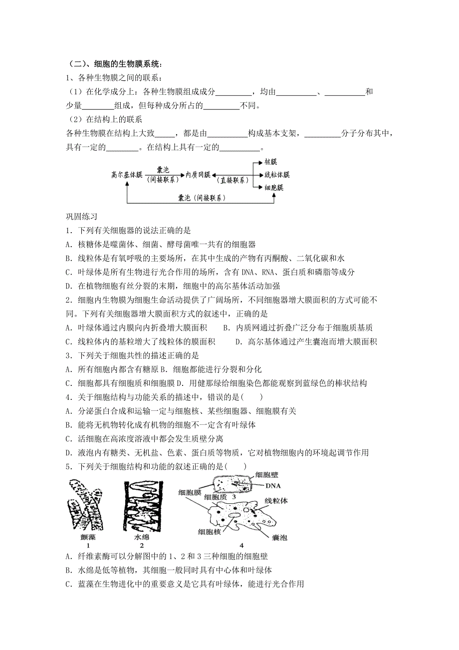 2013级生物复习学案02.doc_第3页