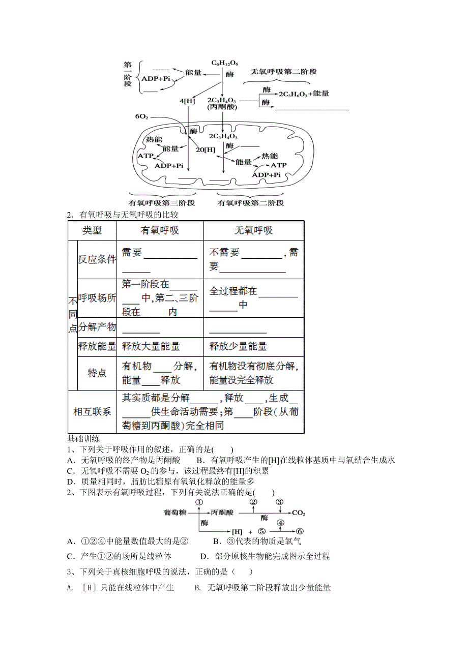 2013级生物复习学案07.doc_第2页