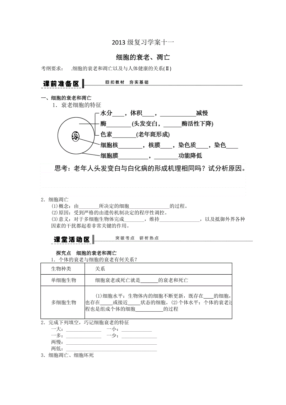 2013级生物复习学案11细胞的衰老、凋亡.doc_第1页