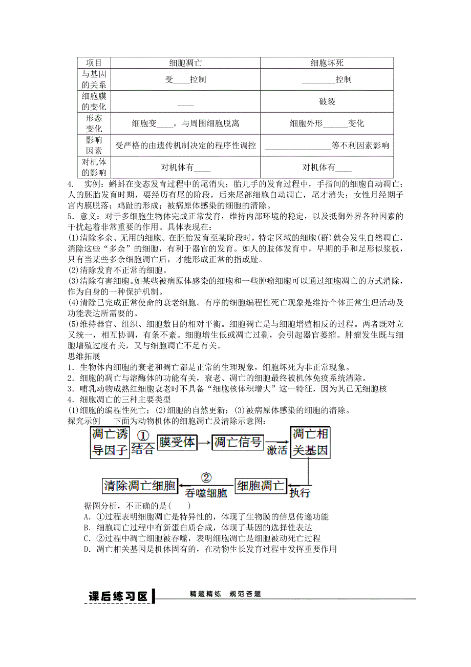 2013级生物复习学案11细胞的衰老、凋亡.doc_第2页