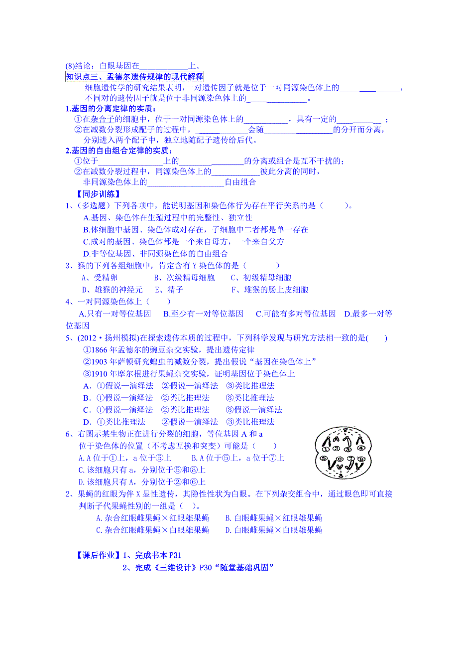 广东省化州市实验中学高中生物学案 必修二2.doc_第2页