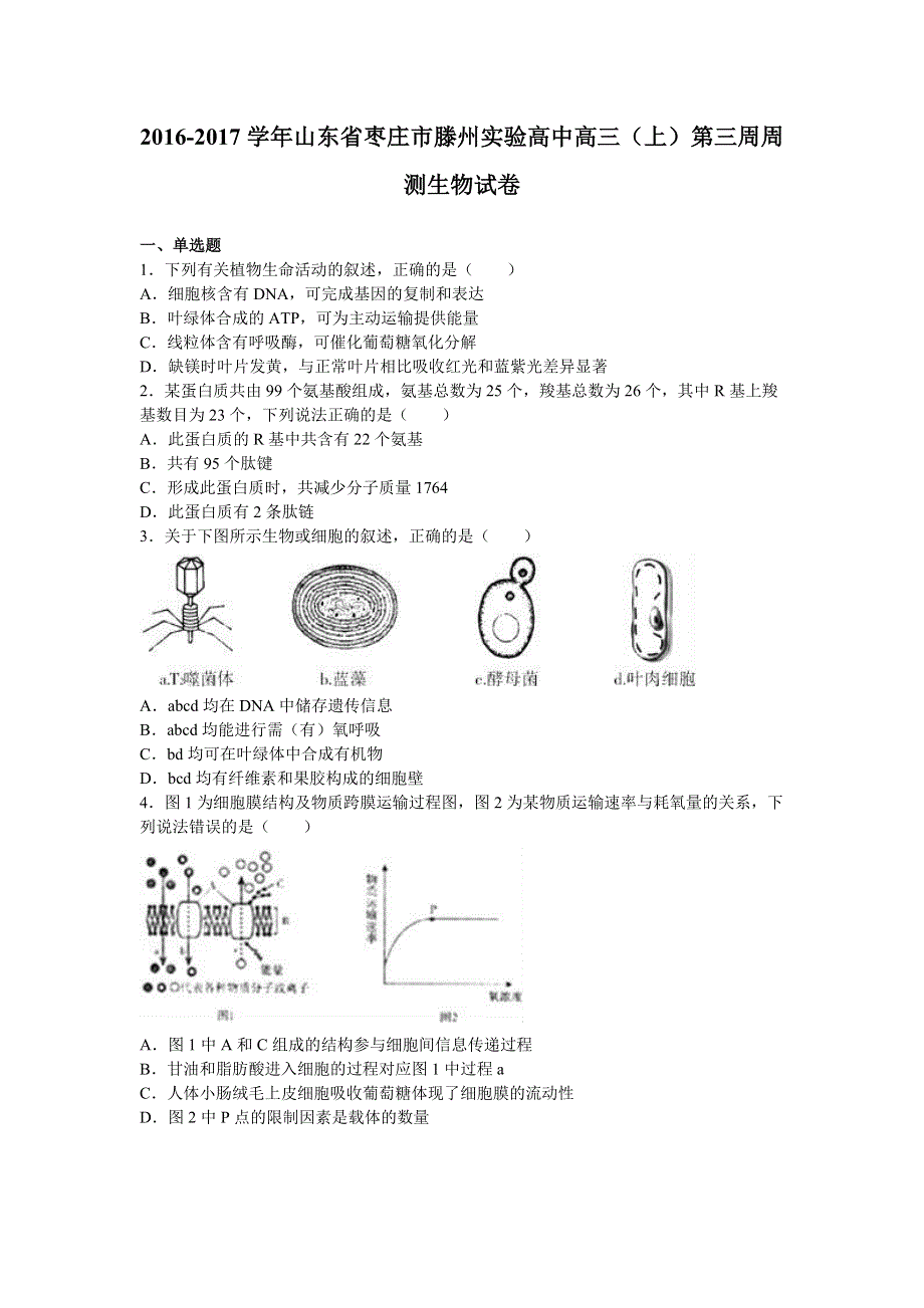 山东省枣庄市滕州实验中学2017届高三上学期第三周周测生物试卷 WORD版含解析.doc_第1页