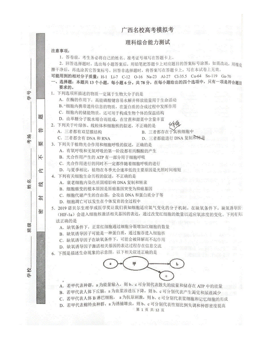 广西名校2020届高三12月高考模拟理科综合试题 PDF版含答案.pdf_第1页