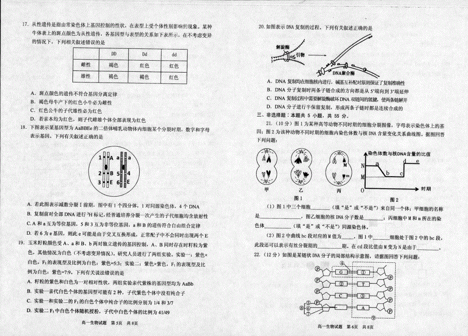 山东省枣庄市第八中学2020-2021学年高一下学期期中考试生物试题 扫描版含答案.pdf_第3页