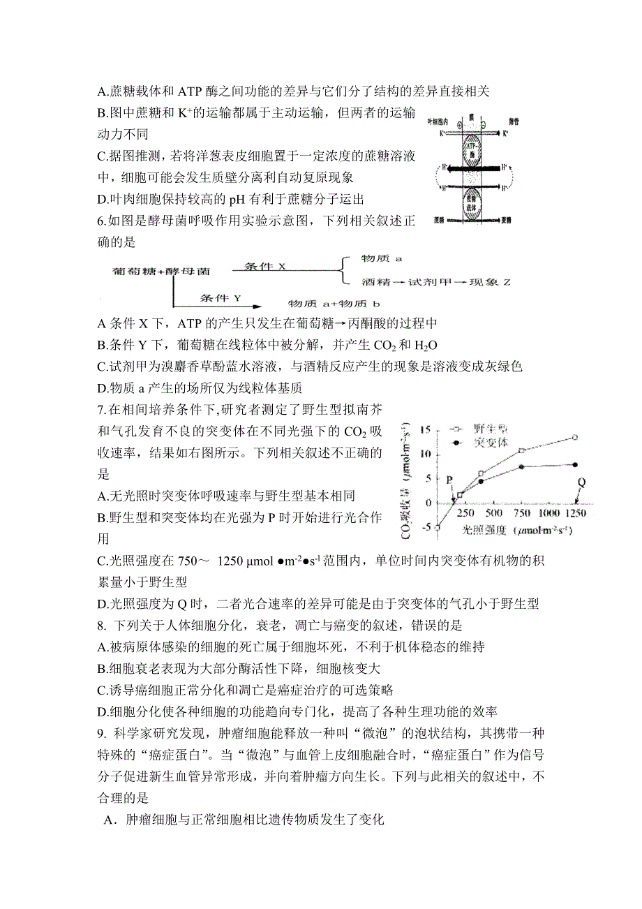 山东省枣庄市第八中学2022届高三上学期9月月考生物试题 WORD版含答案.doc_第2页