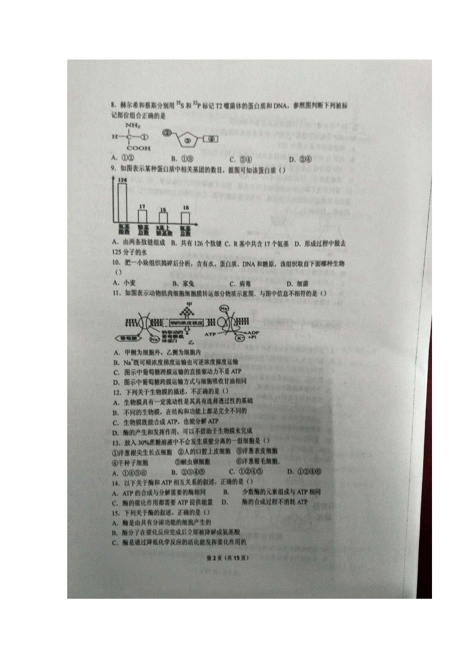 山东省枣庄市第八中学东校区2016-2017学年高一12月月考理科综合试题 扫描版含答案.doc_第2页