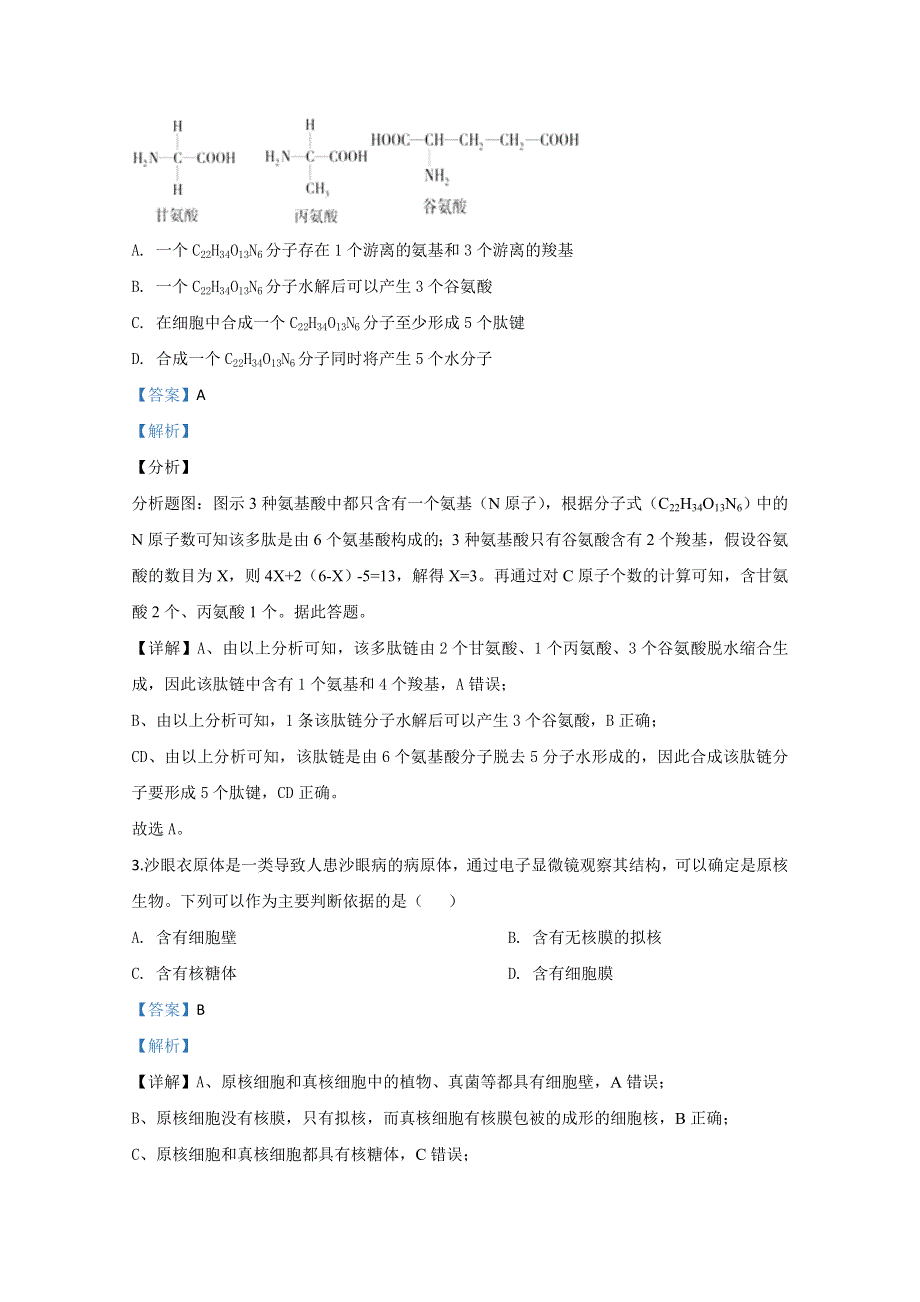 山东省枣庄市滕州市一中2019-2020学年高一（12月）月考生物试题 WORD版含解析.doc_第2页