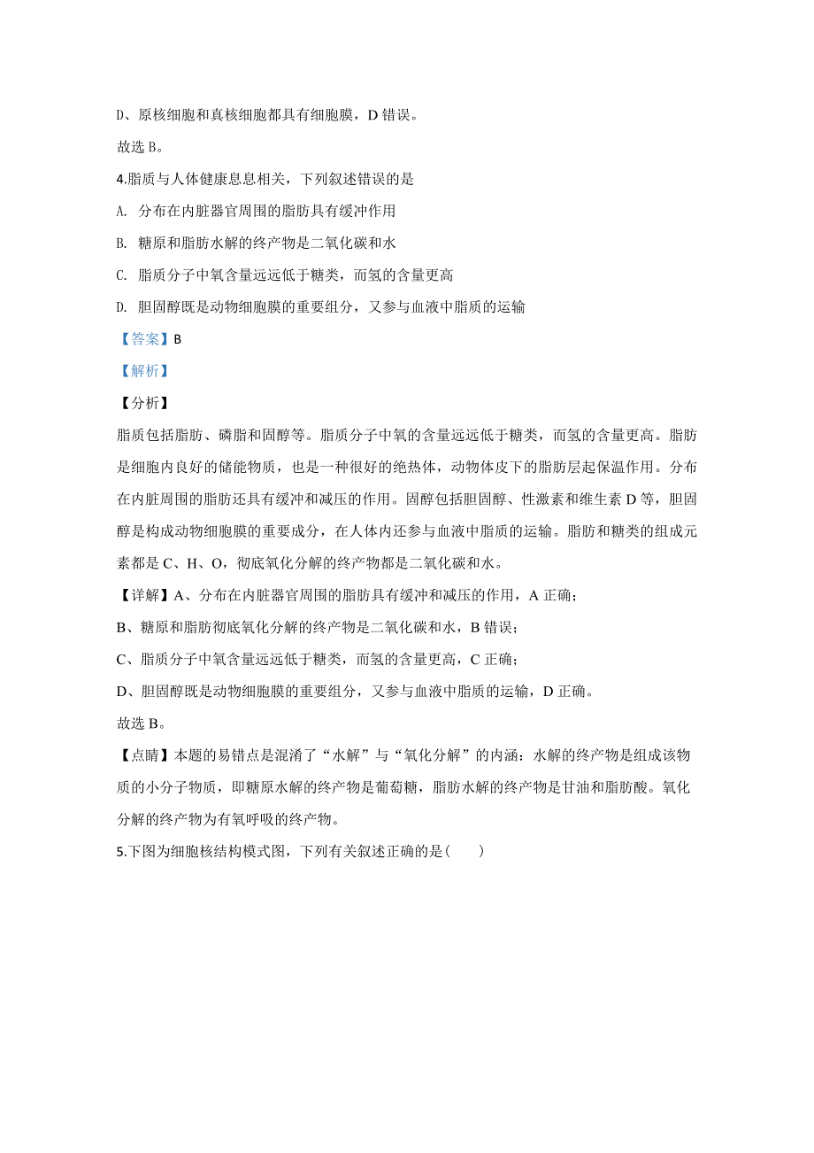 山东省枣庄市滕州市一中2019-2020学年高一（12月）月考生物试题 WORD版含解析.doc_第3页