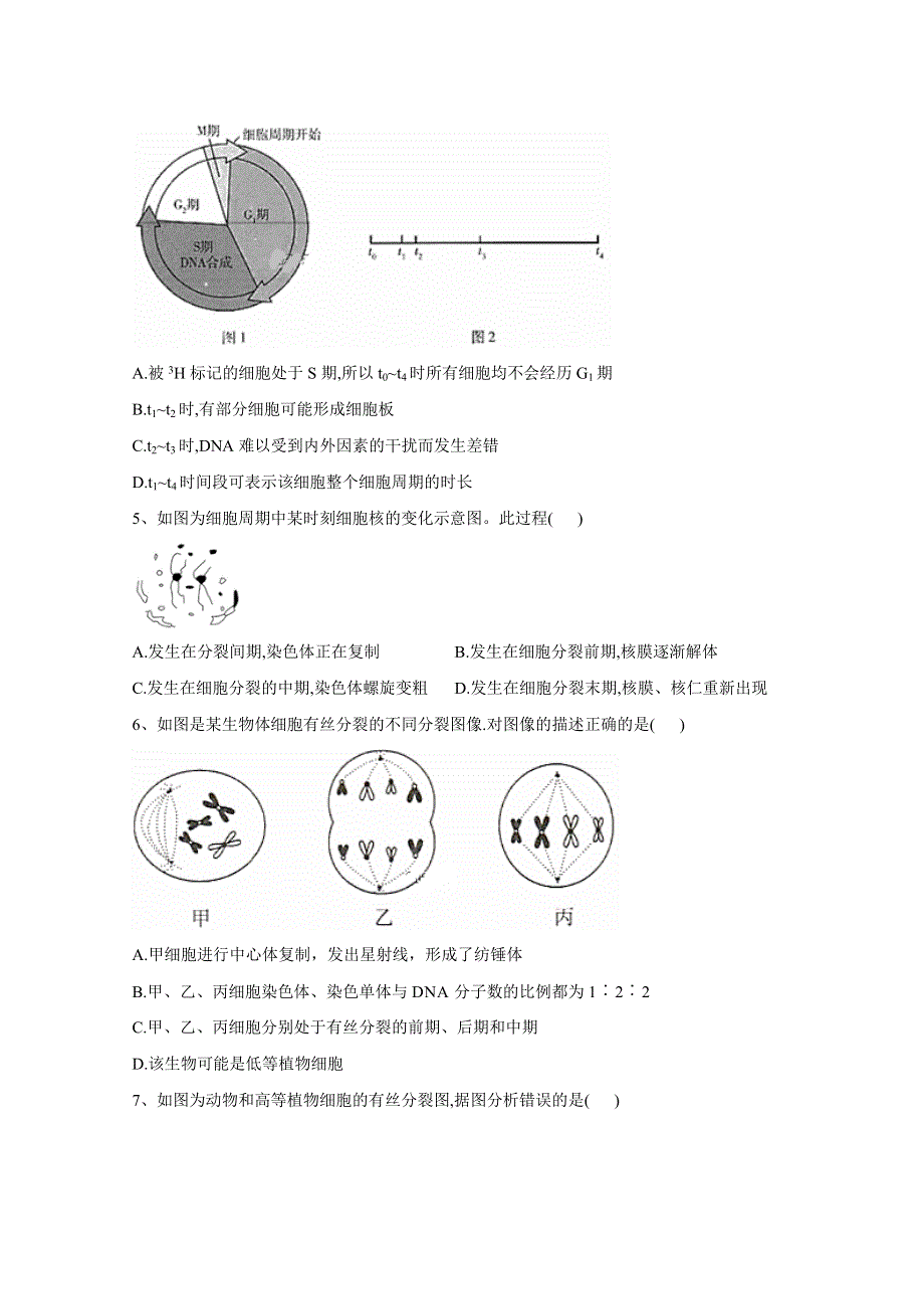 2021届高考新课改生物一轮复习全程跟踪：第12讲 细胞的增殖 WORD版含解析.doc_第2页
