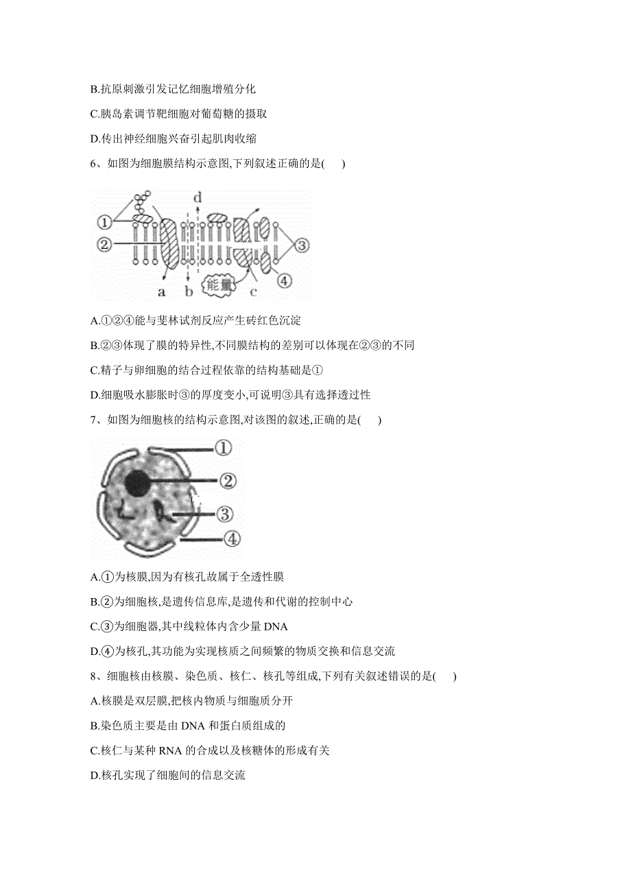 2021届高考新课改生物一轮复习全程跟踪：第5讲 细胞膜和细胞核 WORD版含解析.doc_第2页
