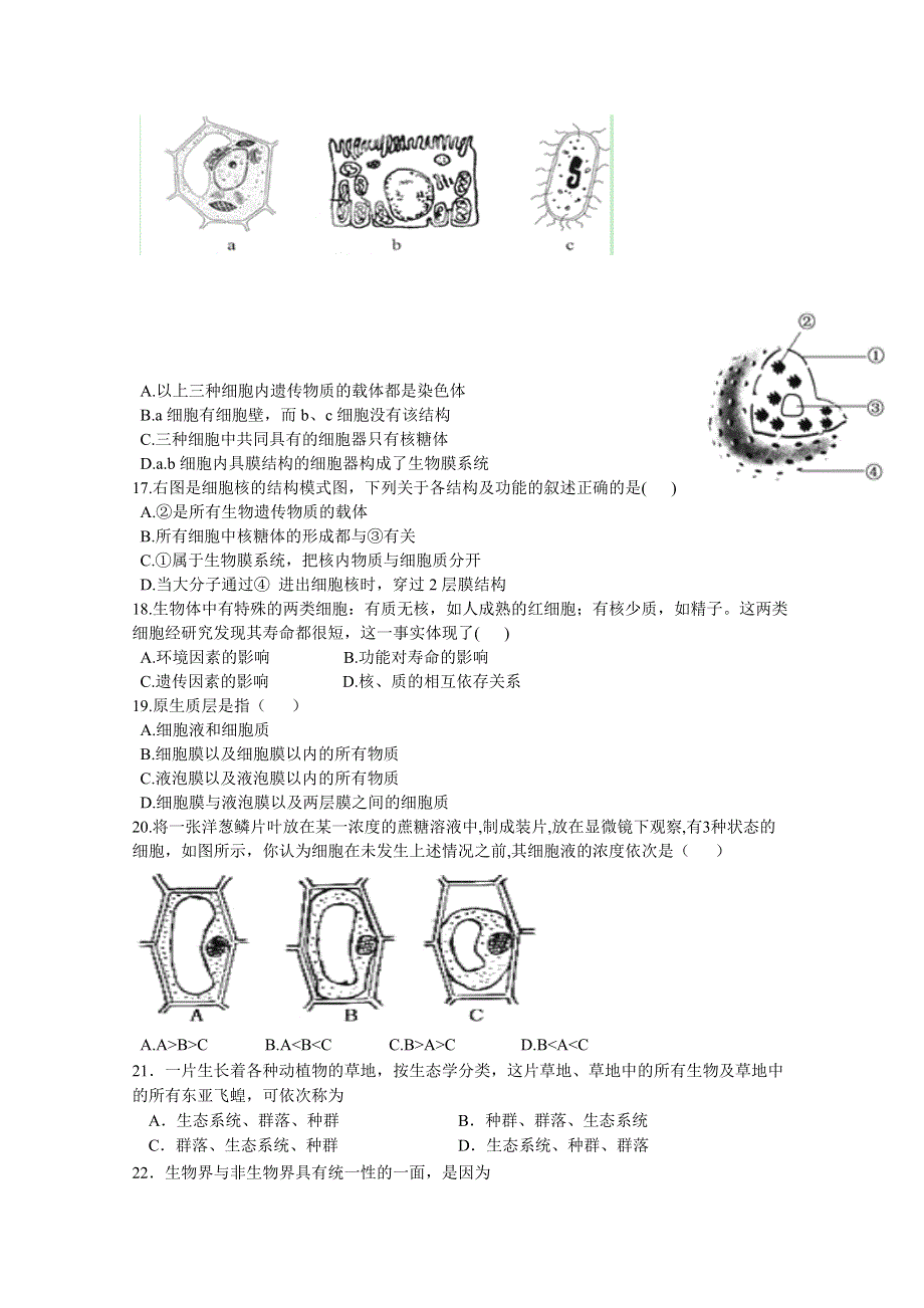 广东省增城市新塘中学2014-2015学年高一上学期期中考试生物试题.doc_第3页