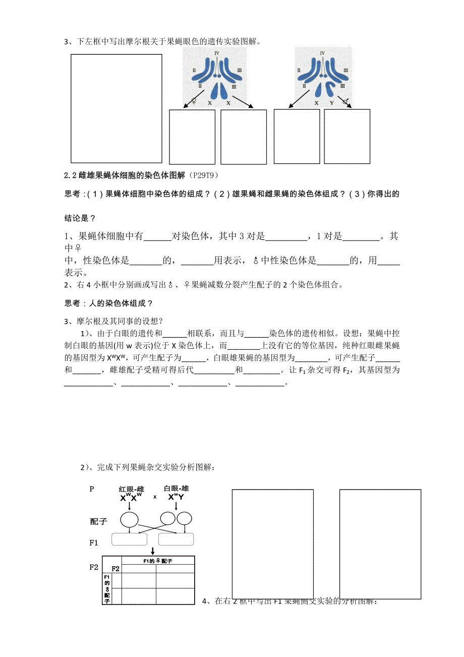 人教高中生物必修2教案：第二章 第二节 基因在染色体上1 WORD版.doc_第2页