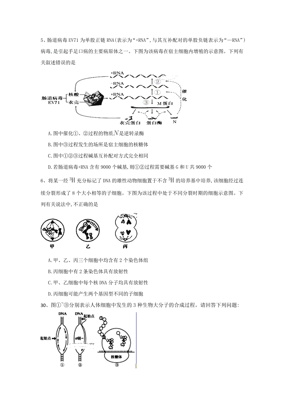 四川省眉山市彭山一中2020届高三上学期开学考试生物试题 WORD版含答案.doc_第2页