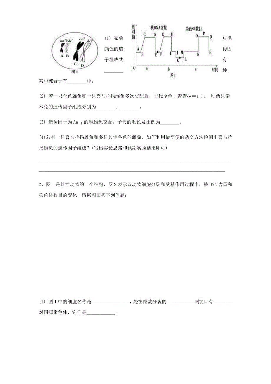 四川省眉山市彭山区第一中学2019-2020学年高一生物下学期期中试题.doc_第3页