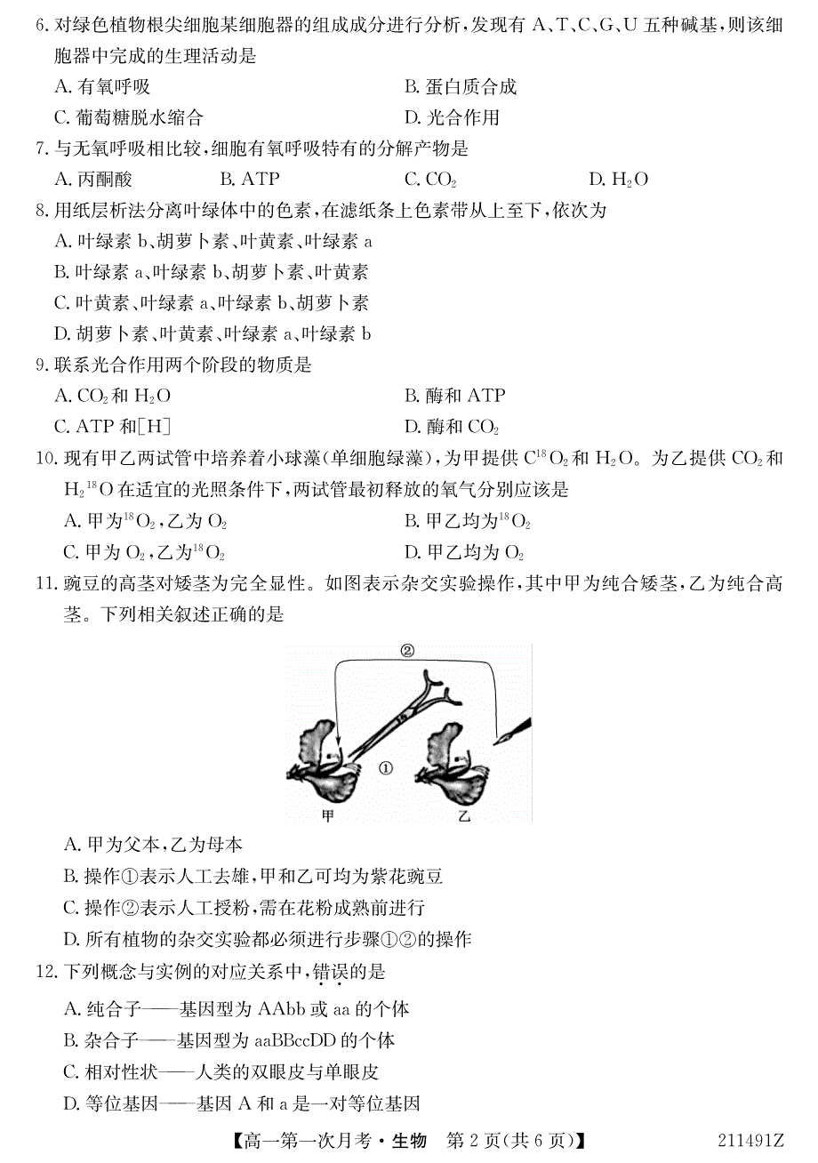 广西崇左高级中学2020-2021学年高一下学期第一次月考生物试题 PDF版含答案.pdf_第2页