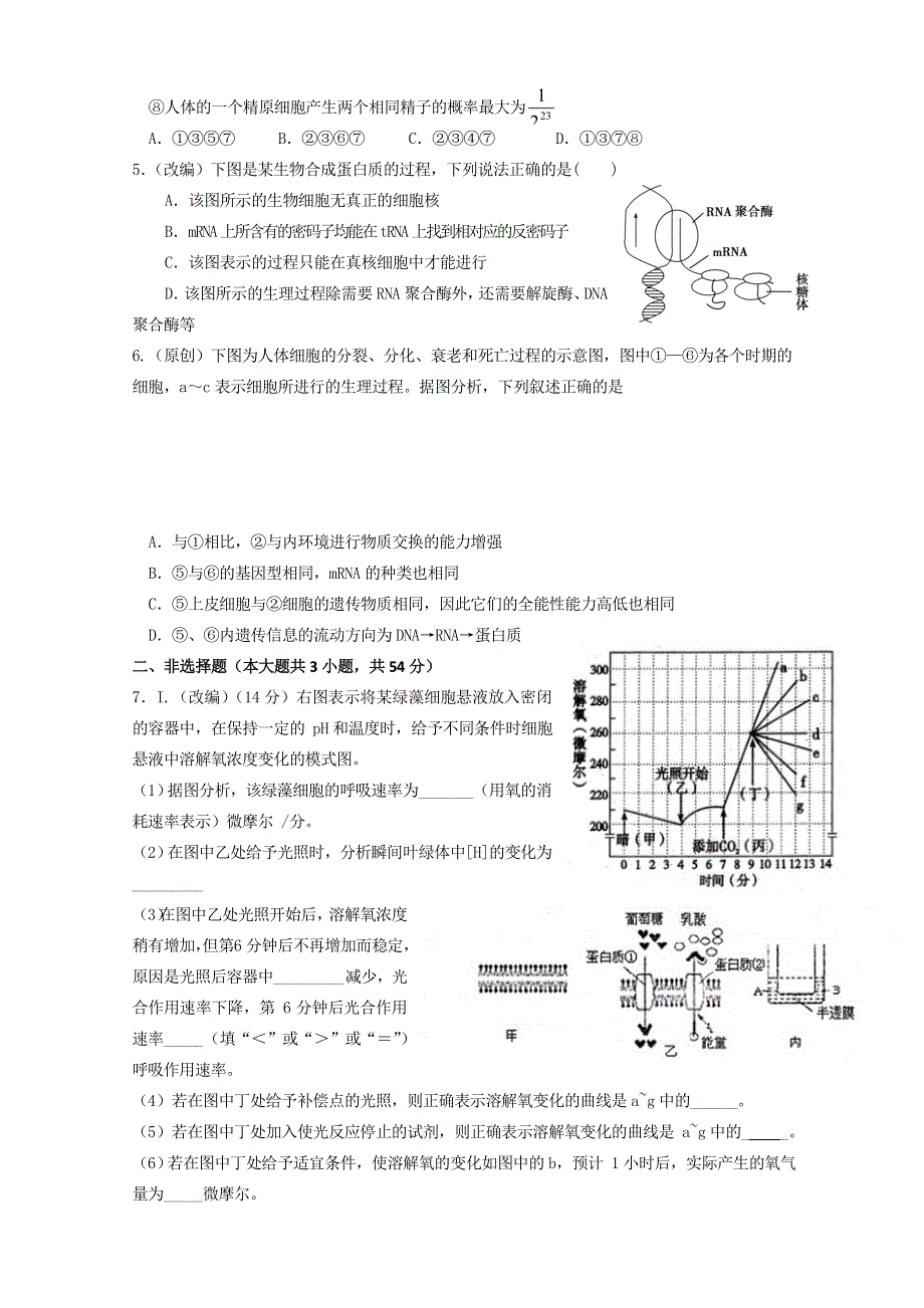 重庆市“七校联盟”2014届高三12月联考理综试题 WORD版无答案.doc_第2页