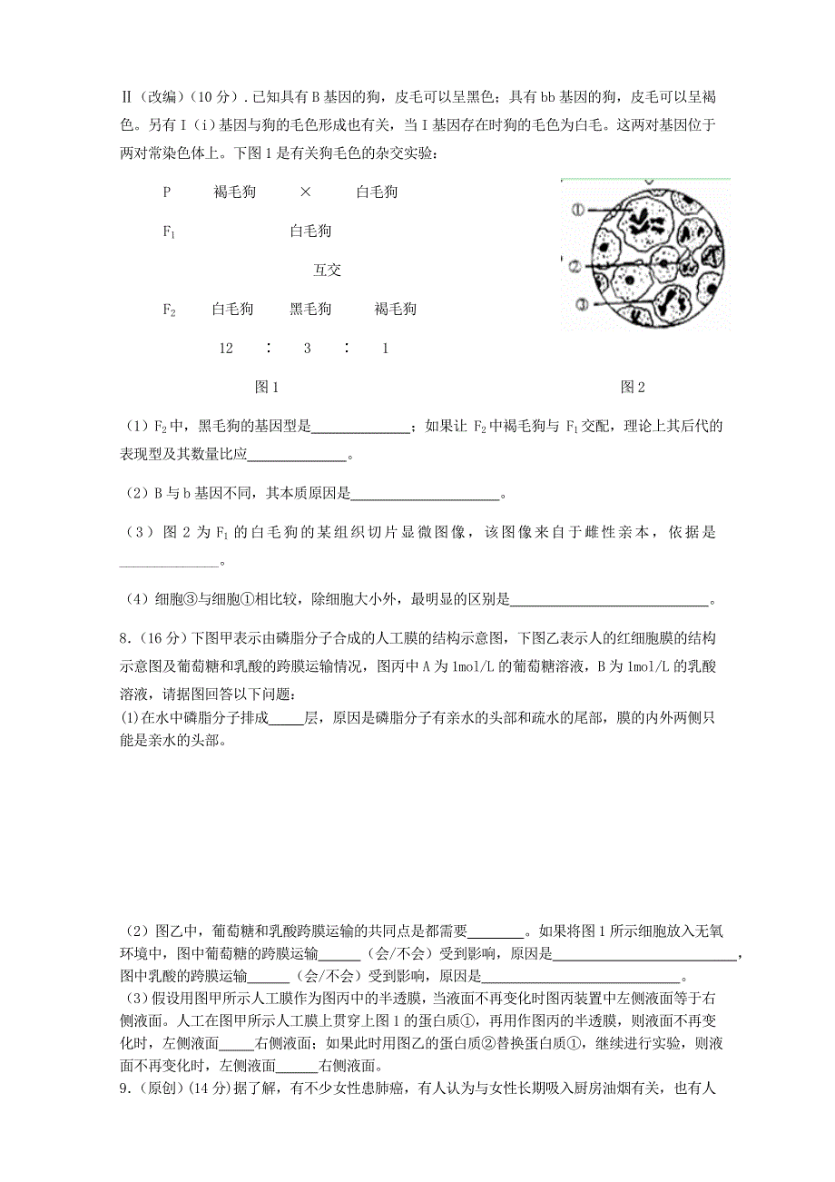 重庆市“七校联盟”2014届高三12月联考理综试题 WORD版无答案.doc_第3页