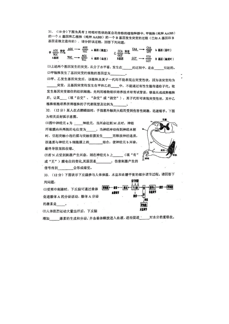 四川省眉山市2015-2016学年高二上学期期末统考理综生物试题 扫描版无答案.doc_第3页