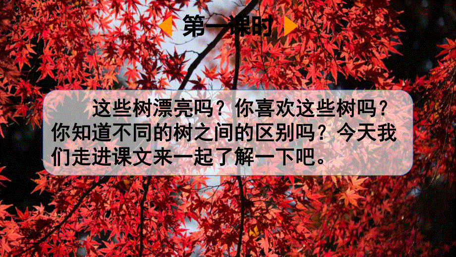 人教部编版二年级语文上册《识字2 树之歌》教学课件小学优秀公开课.pdf_第3页