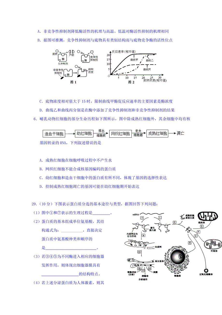 广东省台山市华侨中学2016届高三上学期生物小测10 WORD版无答案.doc_第2页