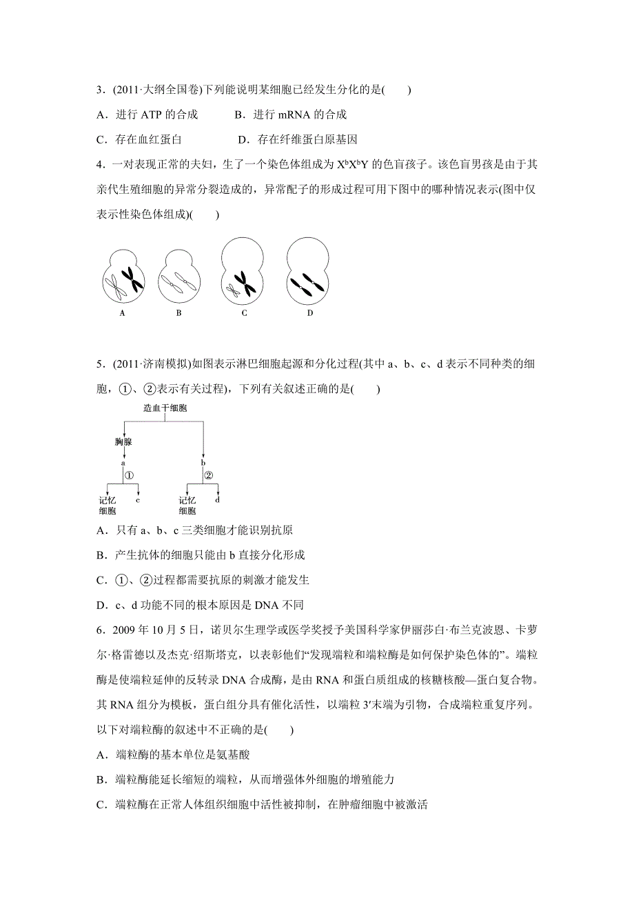 2012届高考生物二轮专题复习检测： 细胞的生命历程.doc_第2页