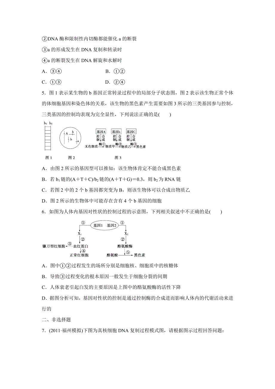 2012届高考生物二轮专题复习检测：遗传的分子基础.doc_第2页