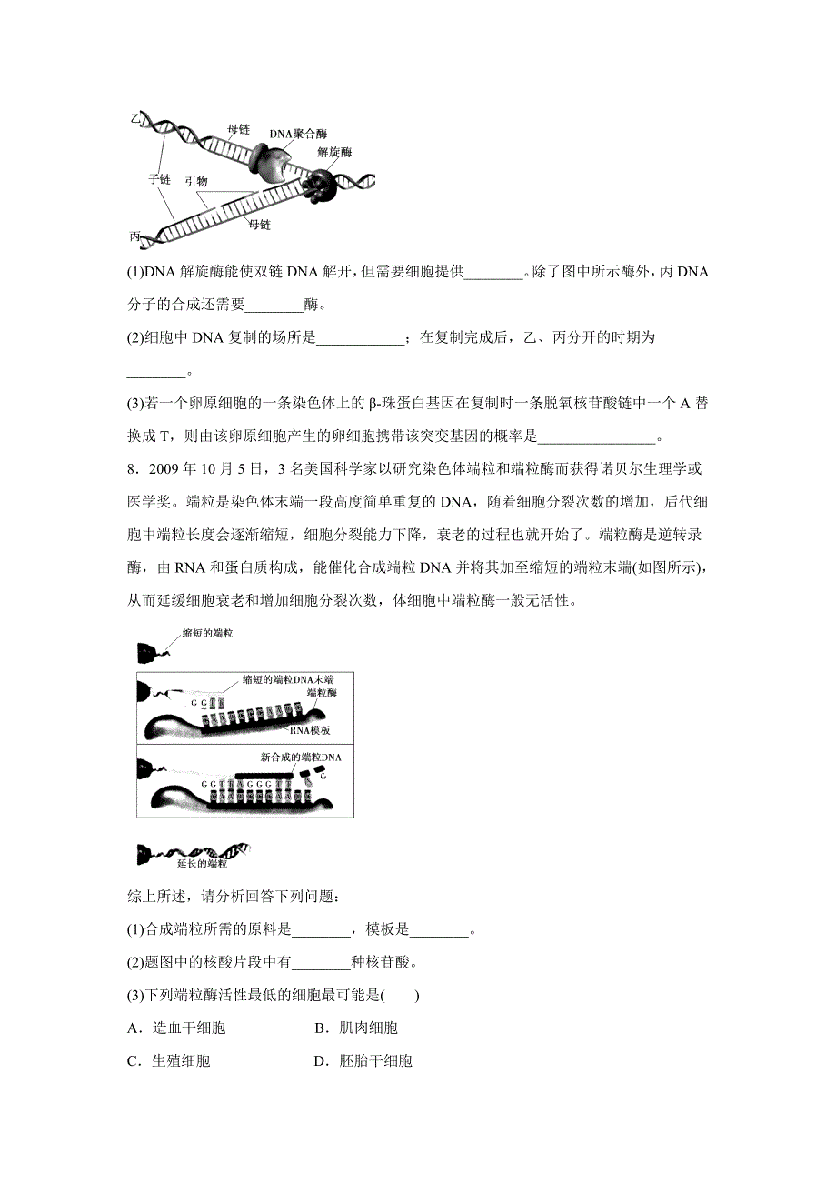 2012届高考生物二轮专题复习检测：遗传的分子基础.doc_第3页