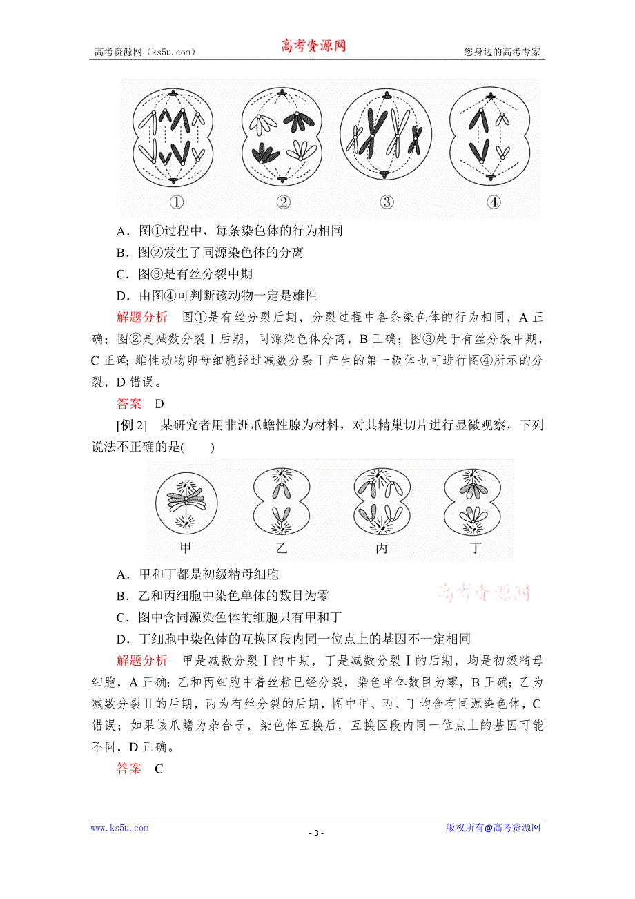 2020生物新教材同步导学提分教程人教必修二讲义：第2章 第1节 第3课时　细胞分裂图像判定、受精作用 WORD版含答案.doc_第3页