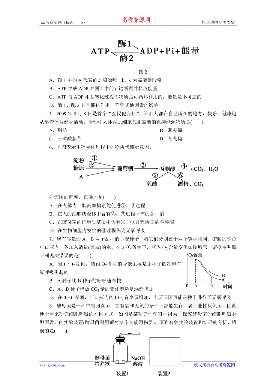 2012届高考生物第一轮复习第3单元第10课时.doc_第2页