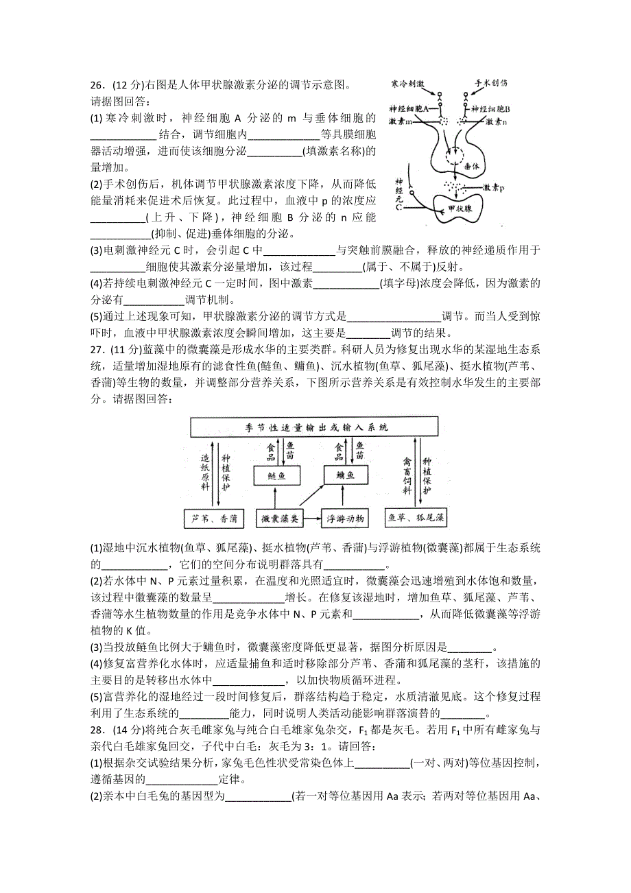 山东省枣庄第八中学2015届高三下学期考前模拟（四）生物试题 WORD版含答案.doc_第3页