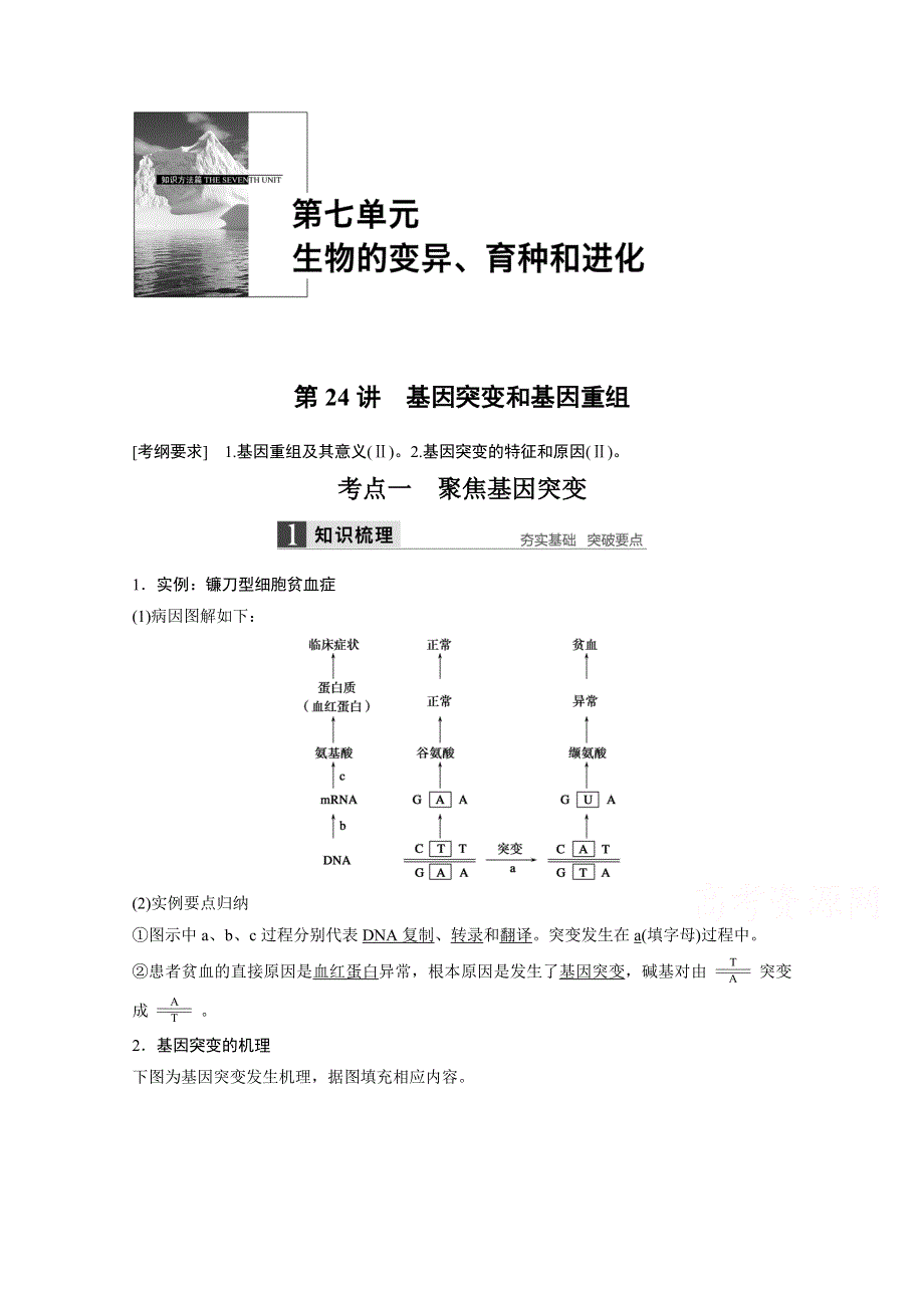 2016届《步步高》高考生物一轮复习 第24讲　基因突变和基因重组.doc_第1页