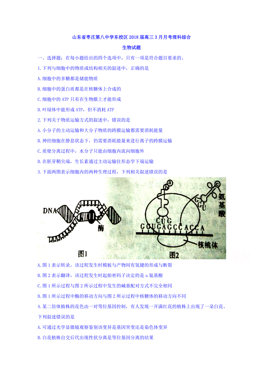 山东省枣庄第八中学东校区2018届高三3月月考理科综合生物试题 WORD版含答案.doc_第1页