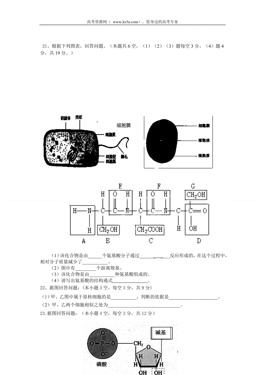 广东省广州六中2011-2012学年高一10月第一次月考生物试题.doc_第3页