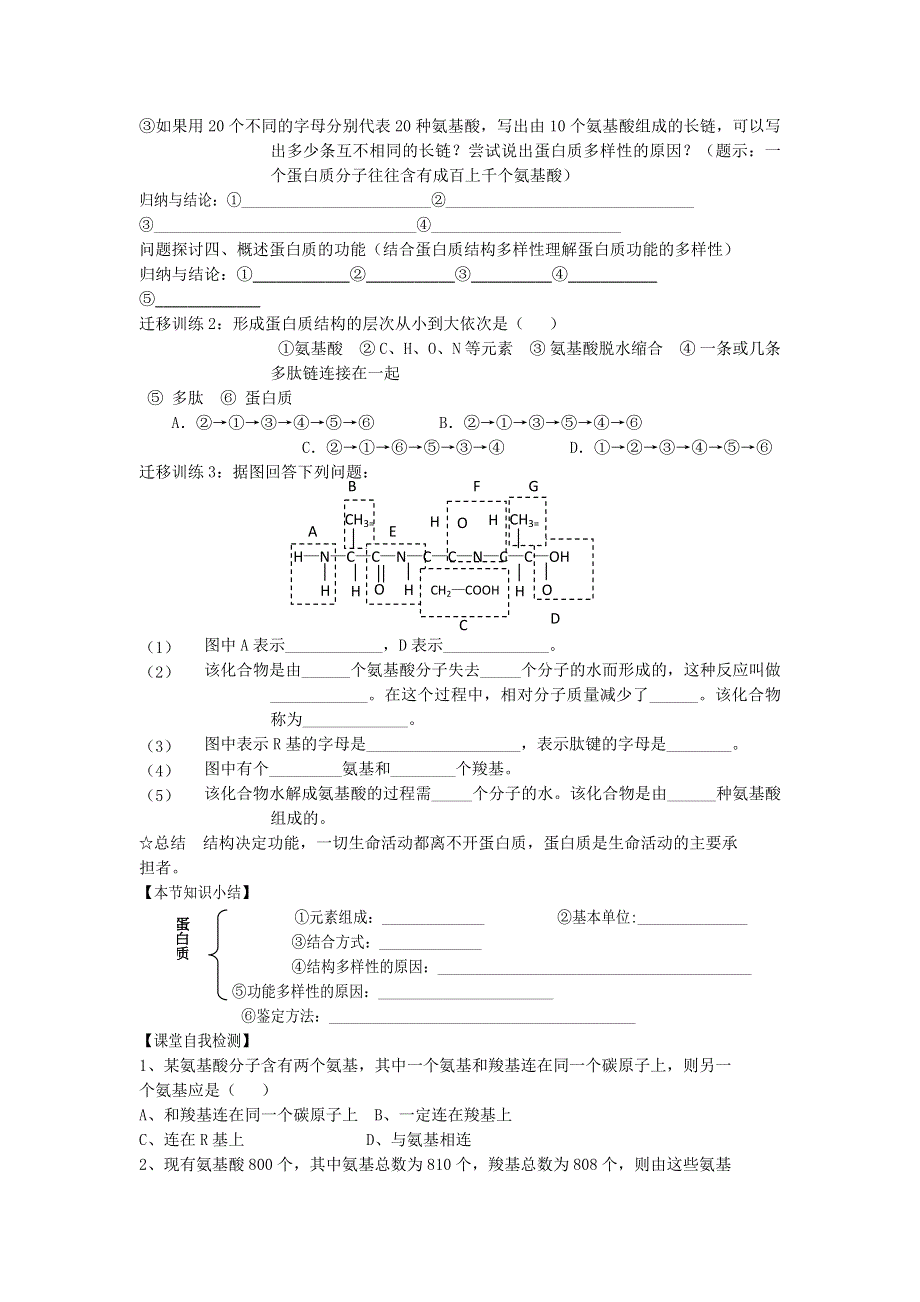 山东省武城县第二中学2011-2012学年高一下学期生物暑假学案（3）蛋白质.doc_第3页